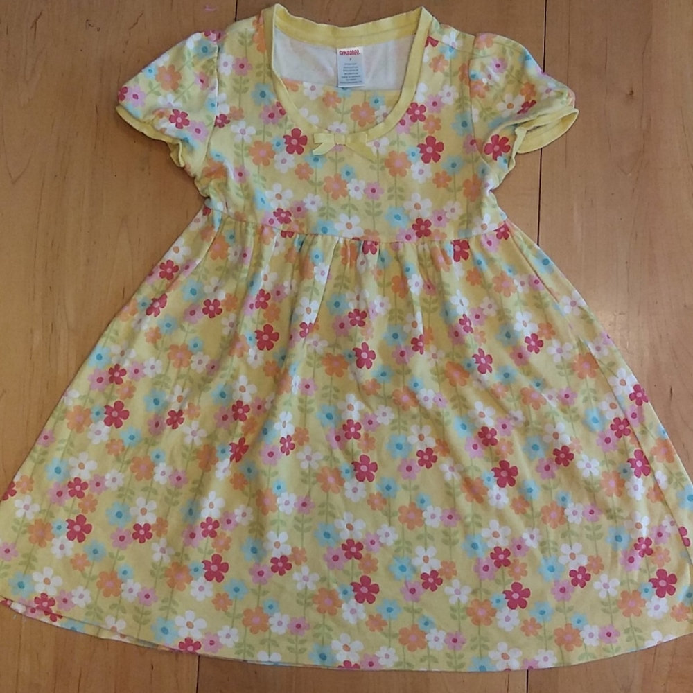 Spring Gymboree Dress
